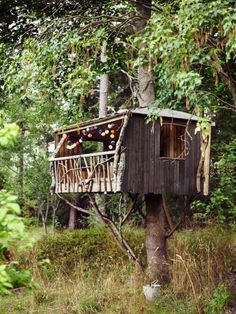 a tree house in the middle of some trees