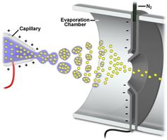 a diagram showing the process of evaporation