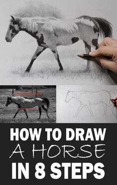 how to draw a horse in 8 steps - step by step instructions for beginners