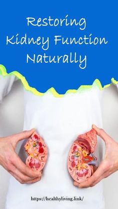 Restoring Kidney Function Naturally Remedies For Kidney Pain, Polycystic Kidneys