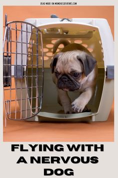 a small dog in a cage with the words flying with a nervous dog on it