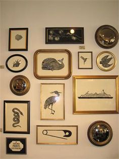 many framed pictures are hanging on the wall next to each other with birds and seagulls