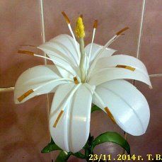 a white flower with yellow stamens in a vase on a tile wall background