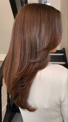 Rambut Brunette, Chestnut Hair, Chestnut Hair Color, Honey Brown Hair, Brown Hair Looks, Hair Inspiration Long, Brown Hair Inspo, Ginger Hair Color, Hairstyles For Layered Hair