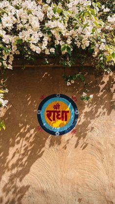 a painted sign on the side of a building with white flowers growing around it in front of a tan wall