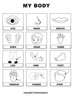 the body worksheet for children to learn how to read and understand their body