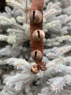 three bells hanging from a tree with pine needles