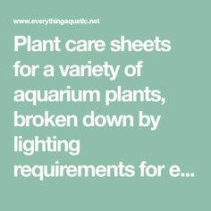 Plant care sheets for a variety of aquarium plants, broken down by lighting requirements for ease in planning a planted tank. Plant Library, Aquatic Plant, Aquarium Plants, Plant Care, How To Plan, Lighting