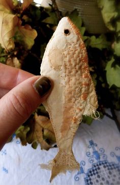 a person holding a small fish in front of a plant with leaves on the table