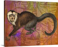 a drawing of a monkey on top of a map