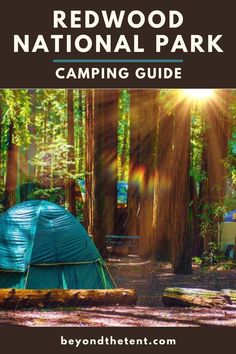 the redwood national park camping guide with tents in the woods and sun shining through trees