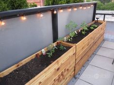 two wooden planters filled with plants on top of a roof garden area next to a fence