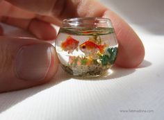 a hand holding a small glass bowl filled with goldfish and other colorful fish in it