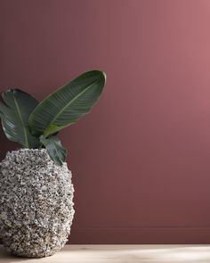 there is a plant in the vase on the table next to the wall and floor