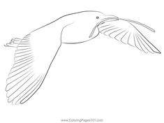 a black and white drawing of a bird flying