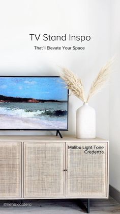 a tv sitting on top of a wooden cabinet next to a vase with dry grass