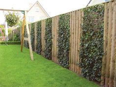 a wooden fence with green plants growing on it and a swing set in the middle