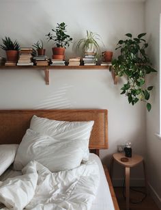 there is a bed with white sheets and plants on the shelf above it in this bedroom