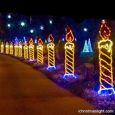 christmas lights on trees and bushes in front of a house