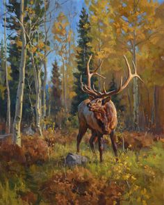 Bull in Fall Aspens -  Chad Poppleton - McGaw Graphics Moose Painting, Unstretched Canvas