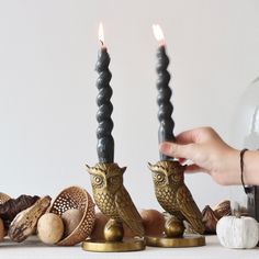 a person lighting candles with an owl figurine