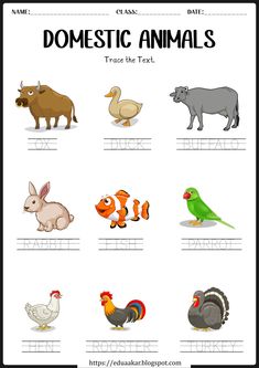 an animal worksheet with the words domestic animals