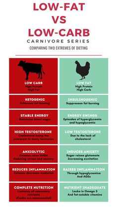 low fat vs low carb Low Fat High Carb, Animal Diet, Carnivore Lifestyle, Caveman Diet Recipes, High Carb Diet, The Carnivore Diet, Food Benefits, Break Ideas, Low Carb High Fat Diet