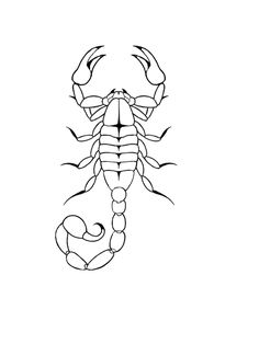 a black and white drawing of a scorpion