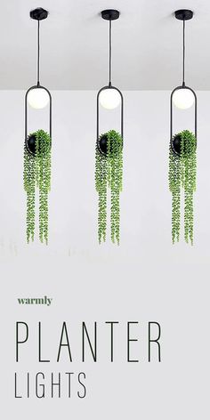 four hanging plants with the words planter lights on them in front of a white background