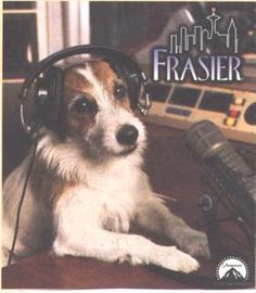 a dog with headphones on sitting in front of a microphone and the words i am moosee and you are reading this in my voice