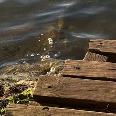 ducks swimming in the water next to wooden steps