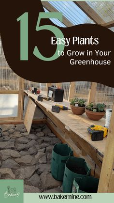 a greenhouse with plants growing inside and text overlay that reads 15 easy plants to grow in your greenhouse