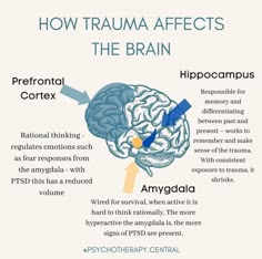 the brain and its functions are labeled in this diagram, which shows how it works