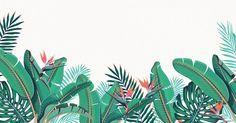 an illustration of tropical leaves and plants against a white background