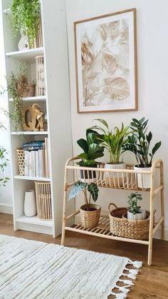 a white room with plants and bookshelves