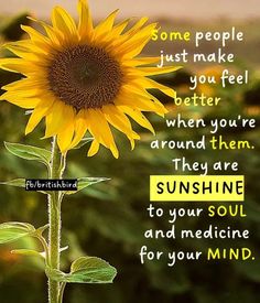 a sunflower with the words sunshine to your soul and medicine for your mind on it