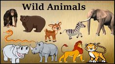 an image of wild animals on a brown background with the words wild animals in black and white