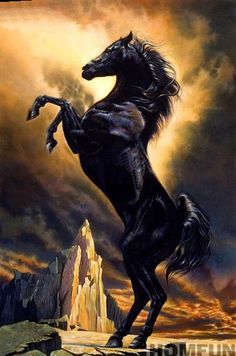 a black horse is standing on its hind legs in front of the sky and clouds