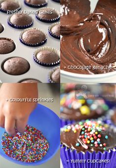 there are four different types of cupcakes with chocolate frosting and sprinkles