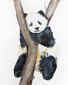 a watercolor painting of a panda bear sitting on top of a tree branch with its eyes closed