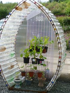 an outdoor greenhouse with plastic bottles and plants growing in the planter's hoop