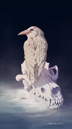 a white bird sitting on top of a skull in the water with clouds behind it