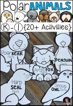 polar animals activities for kids to learn about the arctic animals and how they use them