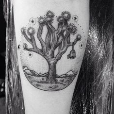 a black and white photo of a cactus with a birdcage on it's leg