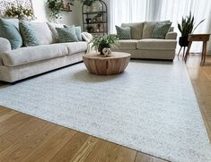 a living room filled with furniture and a large rug on top of a hard wood floor