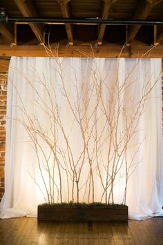 a white curtain with branches on it in front of a brick wall and wooden floor