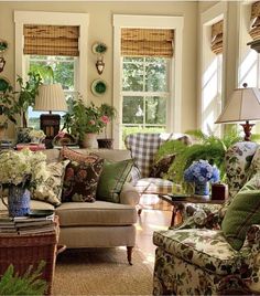 a living room filled with furniture and lots of plants on the windows sills