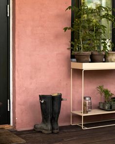 some plants are sitting on a shelf next to a pink wall