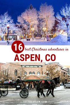 two horses pulling a carriage with the words best christmas adventures in aspen, co