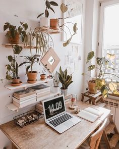 a laptop computer sitting on top of a wooden table next to potted plants and books